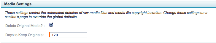 Screenshot of Media Settings options as described.