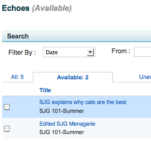 Screenshot of uploaded recording in Echoes list.