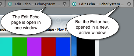 screenshot of Presentation Editor window active and Edit Echo window available.